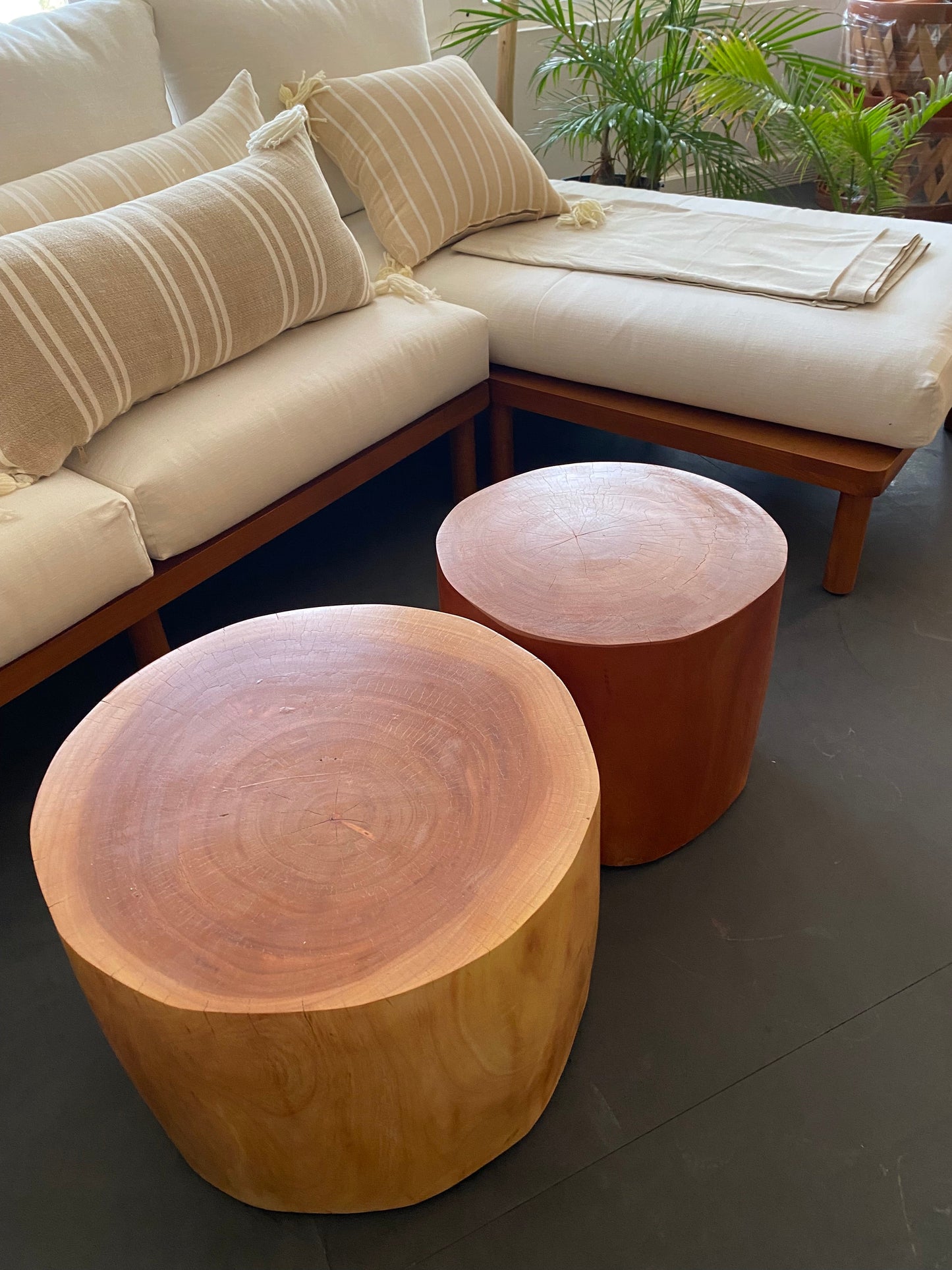 Tree Trunk Coffee Tables