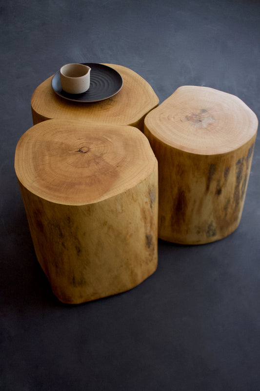 Tree Trunk Side Table
