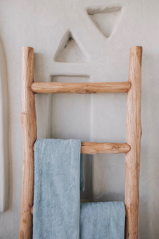 Wood Ladder
